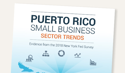 Report Cover of Puerto Rico Small Business Sector Trends: Evidence from the 2018 New York Fed Survey