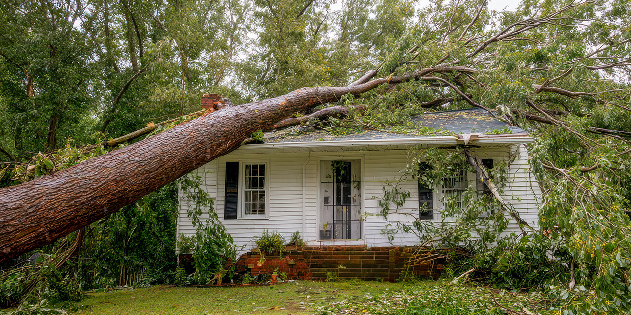 large tree uprooted in storm damages residential home 