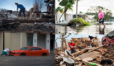 Photo: a four-panel picture of people cleaning up after natural disasters